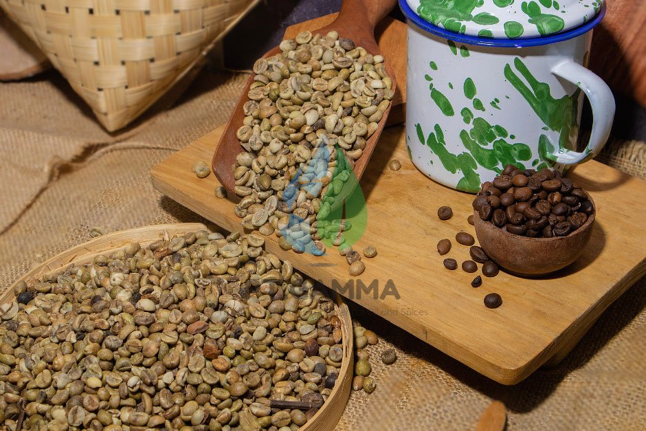 Premium Indonesian Robusta Green Coffee Beans from PT GAMMA